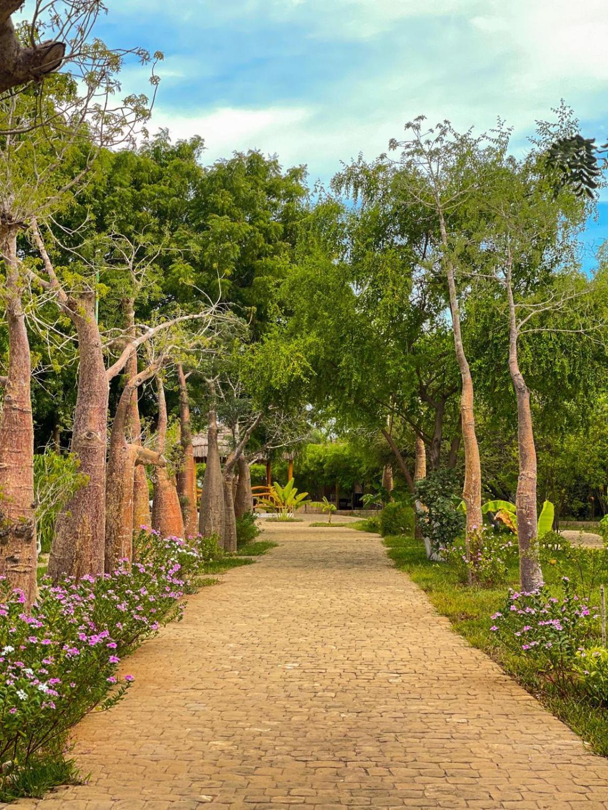 Vovo Telo Lodge トゥリアラ エクステリア 写真