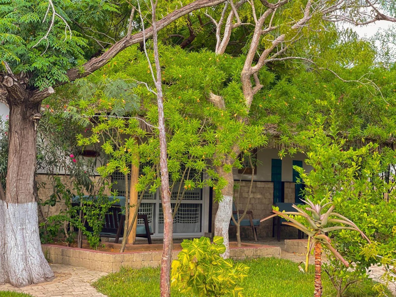 Vovo Telo Lodge トゥリアラ エクステリア 写真