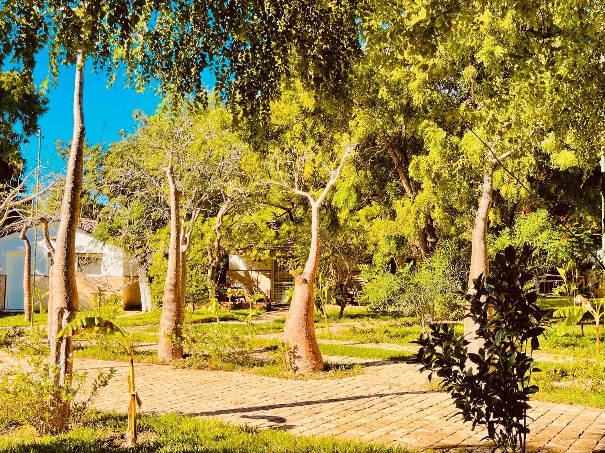 Vovo Telo Lodge トゥリアラ エクステリア 写真